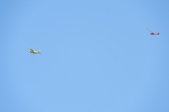 DSCN0080
