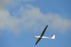 DSCN9600