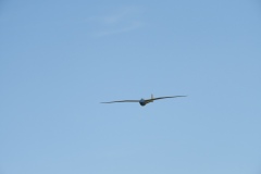 DSCN9746