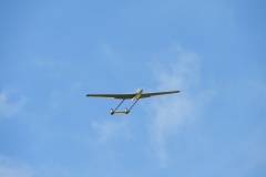 DSCN9779