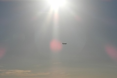DSCN9947