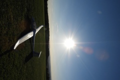 DSCN9954