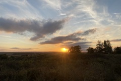 IMG_9708