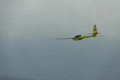 DSCN4793-567