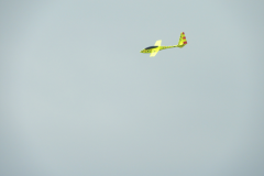 DSCN4794-568