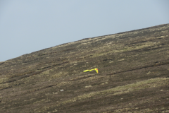 DSCN4812-586