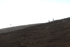 DSCN4856-630
