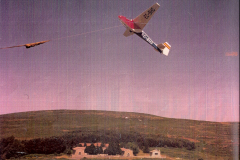 T45-Swallow-0154